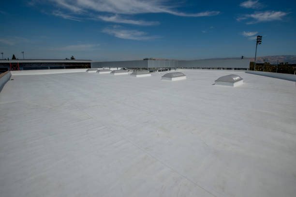 Best Flat Roofing  in Yale, MI