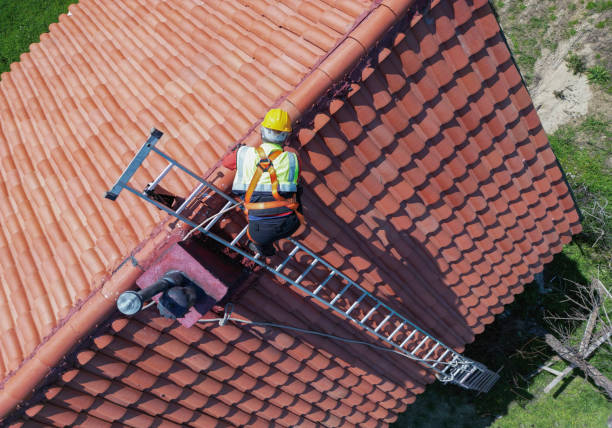 Best Roof Moss and Algae Removal  in Yale, MI