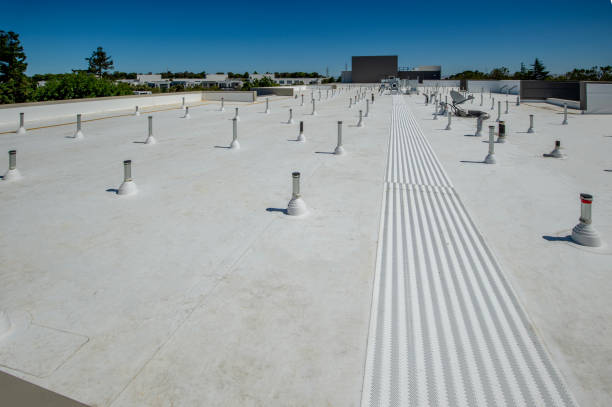 Best Roof Coating Services  in Yale, MI